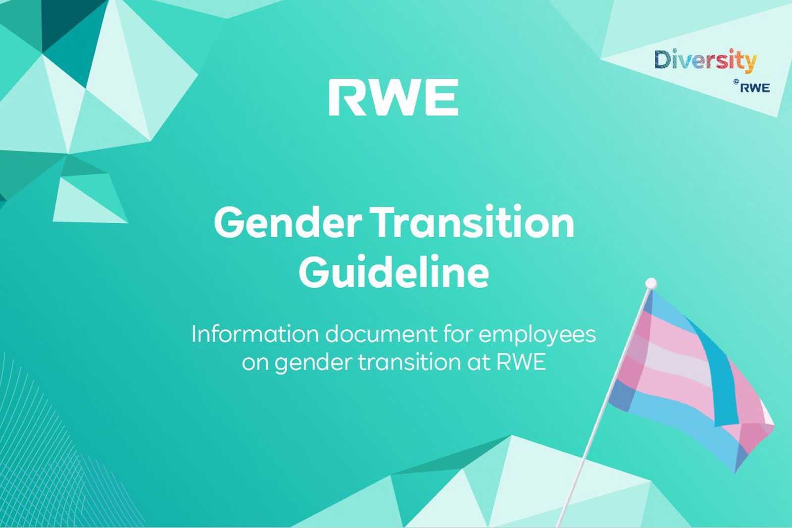 Gender-Transition Guideline